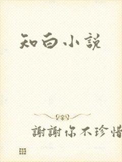 知白小说