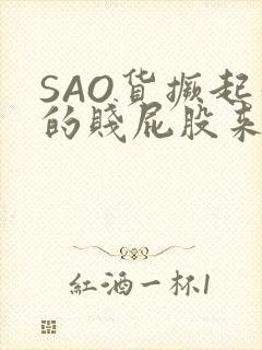 SAO货撅起你的贱屁股来