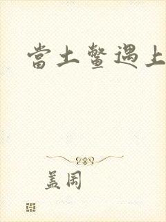 当土鳖遇上海龟