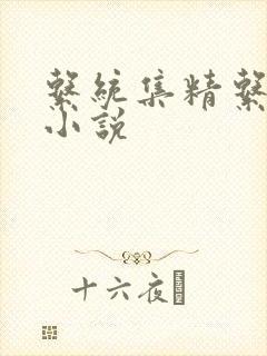 系统集精系统 小说