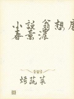 小说 翁想房中春意浓