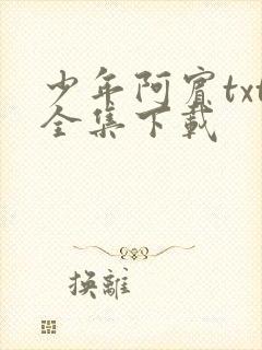 少年阿宾txt全集下载