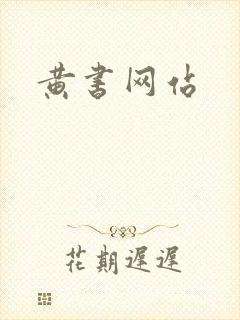 黄书网站
