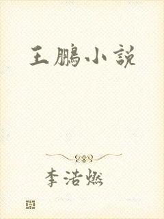 王鹏小说