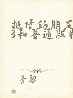 抵债的朋友麦子3和普通版对比