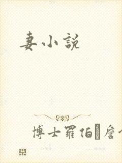 妻小说