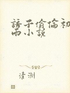 诱子偷伦初尝云雨小说