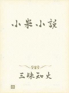 小米小说