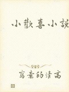 小欢喜小说