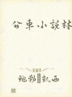 公车小说林蔓蔓