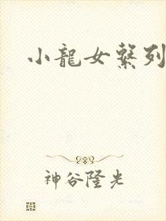 小龙女系列小说