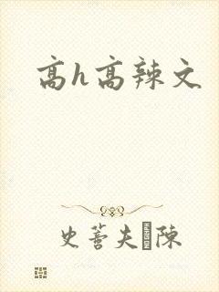 高h高辣文