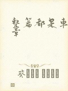 整篇都是车的文章