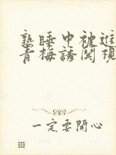 熟睡中被进了H青梅诱哄视频