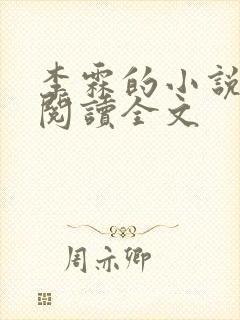 李霖的小说免费阅读全文