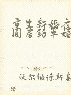 重生新婚夜正在圆房的军婚