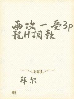 两攻一受3p双龙H调教