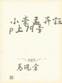 小豪孟卉钰慧三p上79章