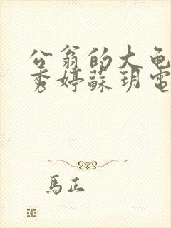 公翁的大龟挺进秀婷苏玥电影