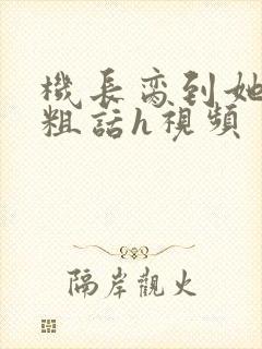 机长脔到她哭h粗话h视频