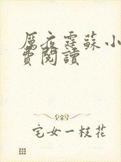 厉夜霆苏小汐免费阅读