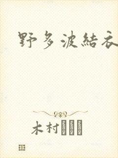 野多波结衣