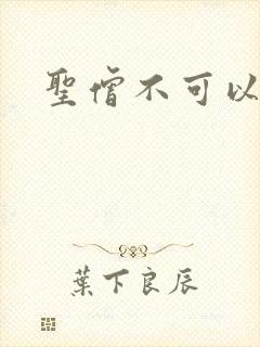 圣僧不可以