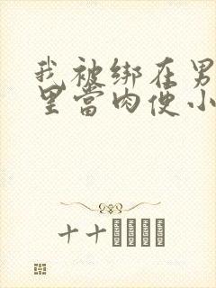 我被绑在男公厕里当肉便小说