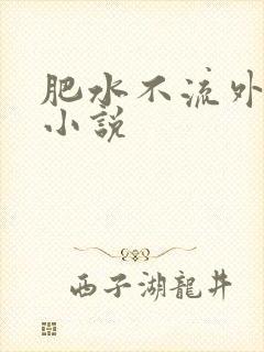 肥水不流外人田小说
