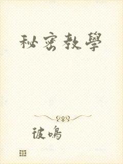 秘密教学