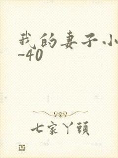 我的妻子小谨1-40