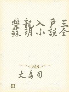 双龙入户三人行苏玥小说全文阅读