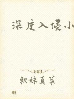深度入侵小说