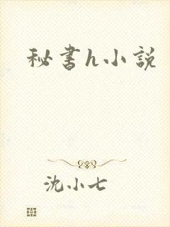 秘书h小说