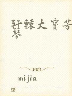 轩辕大宝芳菲雅琴