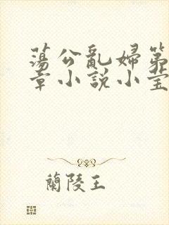荡公乱妇第51章小说小莹