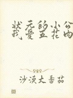状元的小公主(我爱五花肉)