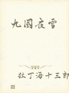 九国夜雪
