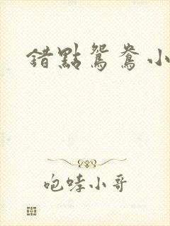 错点鸳鸯小说