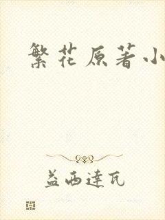 繁花原著小说
