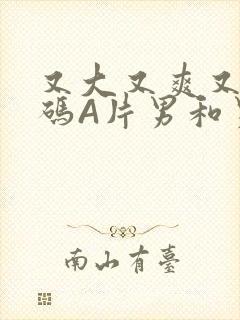 又大又爽又黄无码A片男和男