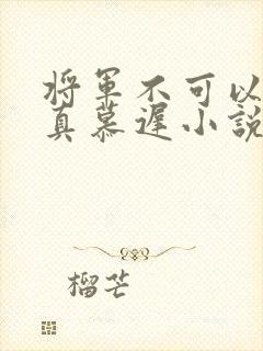 将军不可以魏云真慕迟小说笔趣阁