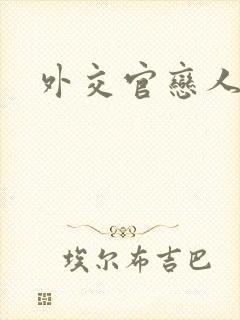 外交官恋人小说