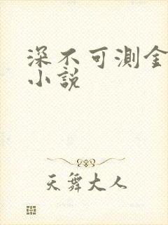 深不可测金银花小说