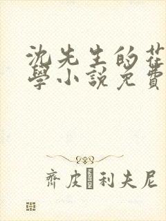 沈先生的花式教学小说免费