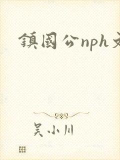 镇国公nph文