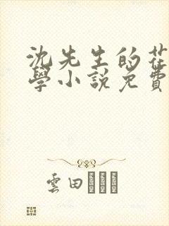 沈先生的花式教学小说免费