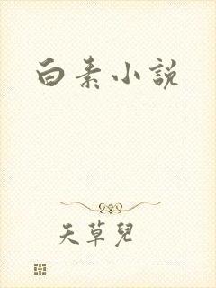 白素小说