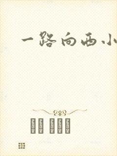 一路向西小说