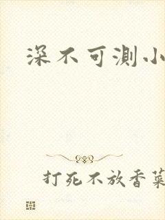 深不可测小说
